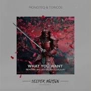 What You Want Max Lyazgin Remix