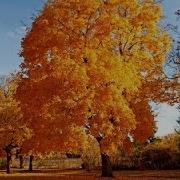 Чудная Пора Осень Детская Песня