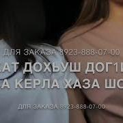 Дала Декъал Йойла Хьо Камила