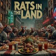 Rats In The Land Vibefoundry