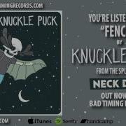 Knuckle Puck Fences