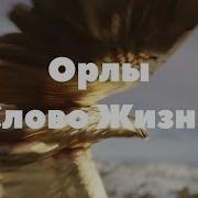 Слово Жизни Орлы Скачать