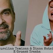 E Groasa Treaba Feat Diana Matei