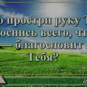Книга Иова Николай Козий