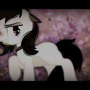 Pmv Manro Розы Корявенько