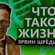 Что Такое Жизнь Шредингер