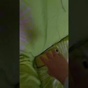 Ти Тряси Смартфон Упадёт Он На Бетон