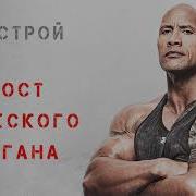 Каменая Эрекция Сытин