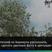 Платье Белое Надела Ты Цветущаю Весной
