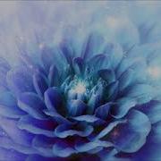Sundari Mantra 432 Hz Om Hrim Shrim Klim Aim Sauh