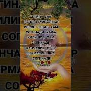 Согинч Хакида Йиглатадиган Кушик