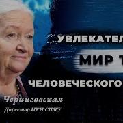 Квантовый Мир Человеческого Мозга