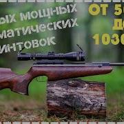 Самая Мощная Пневматическая Винтовка 2021
