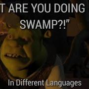 What Are You Doing In My Swamp Multilanguages