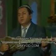 Шохмисан Тайёр Тур Гадо Булишга
