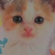 Я Бы Хотел Вырвать Твои Органы Но Мне Мама Не Разрешает