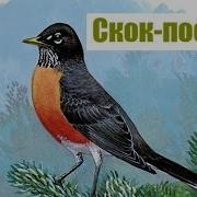 Детская Песня Скок Поскок