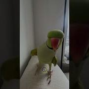 Ты Кто Такой Чтоб Мои Нервы Беспокоить