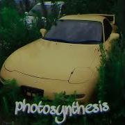 Photosynthesis Phonk