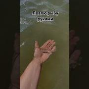 Море Море Чистое Небо