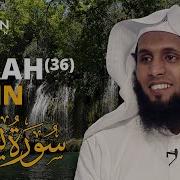 Surah Yasin Sheikh Mansour Al Salimi