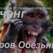 Нячанг Северные Острова Остров Обезьян Вьетнам Часть 4