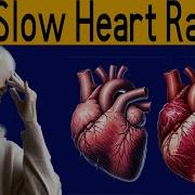 Slow Heartbeat