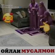 Дай Аллах Всем Такую Семью