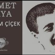 Ahmet Kaya Aylar Oldu Yıllar Oldu Ben Yüzünü Göremedim