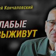 Истории С Глубоким Смыслом