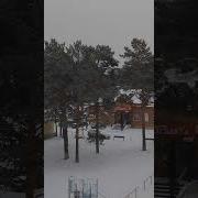 Руку Твою Принимаю И Танцевать Соглашаюсь