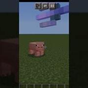 Угомонись Порося Мем