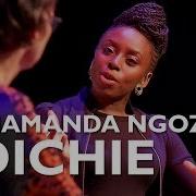 Chimamanda Ngozi Adichie Americanah