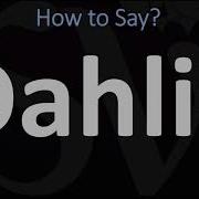 Что Означает Dahlia