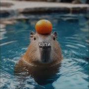 Я Пушистая Как