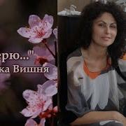 Анжелика Вишня Песни