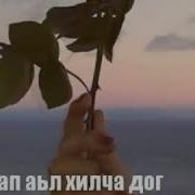 Нийс Аьл Дешнаш Ду Уьш