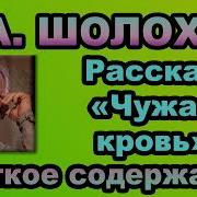 Чужая Кровь Шолохов