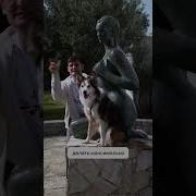 Выход Собачки
