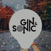 Eminem Without Me Gin And Sonic Remix