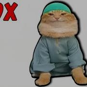 Tob Tobi Tob Tob Muslim Cat Speed 999X Lazy L