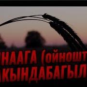 Зынаага Ойноштук Жакындабагыла Шейх Чубак Ажы