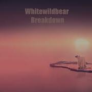 Whitewildbear Breakdown 2019