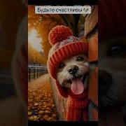За Экраном Телефона Будьте Счастливы