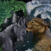 Коты Воители Клип Stfd С Днём Святого Валентина