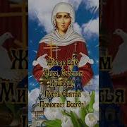 Смешное Поздравление Ксении