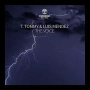 T Tommy The Voice