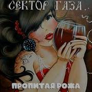 Сектор Газа Пропитая Рожа
