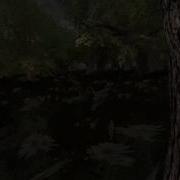 Сталкер Золотой Обоз 2 Книжка Иваныча