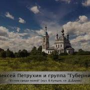 Я Стою Среди Полей